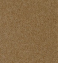 F11157-20