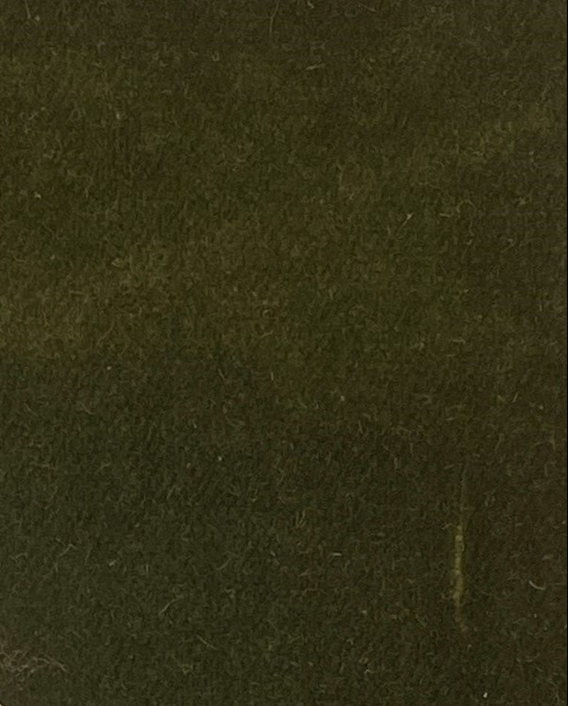 F4199-04
