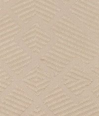 F50381-01