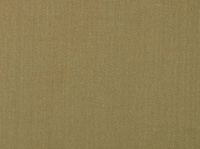 F10084-06