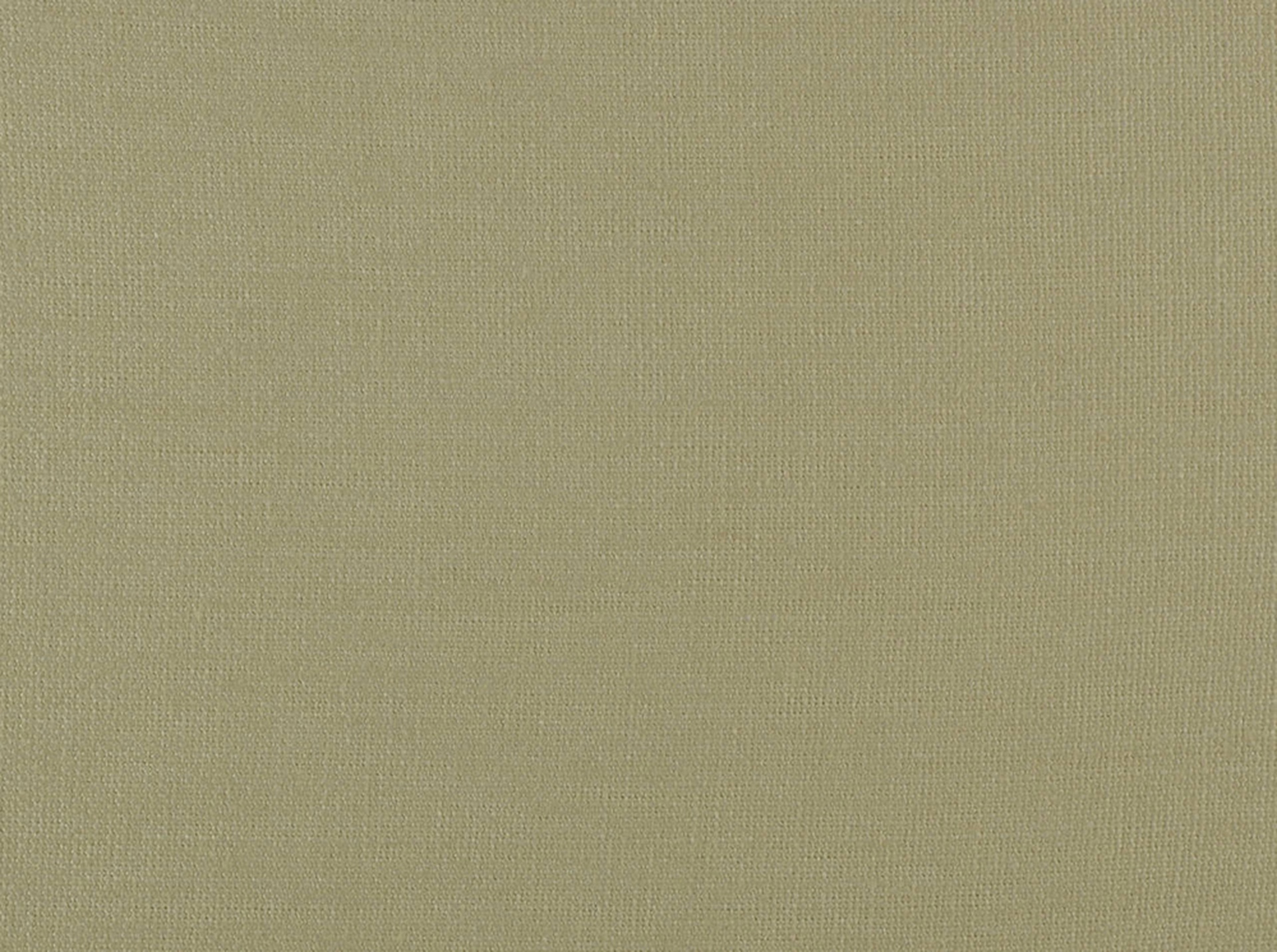 F10084-10