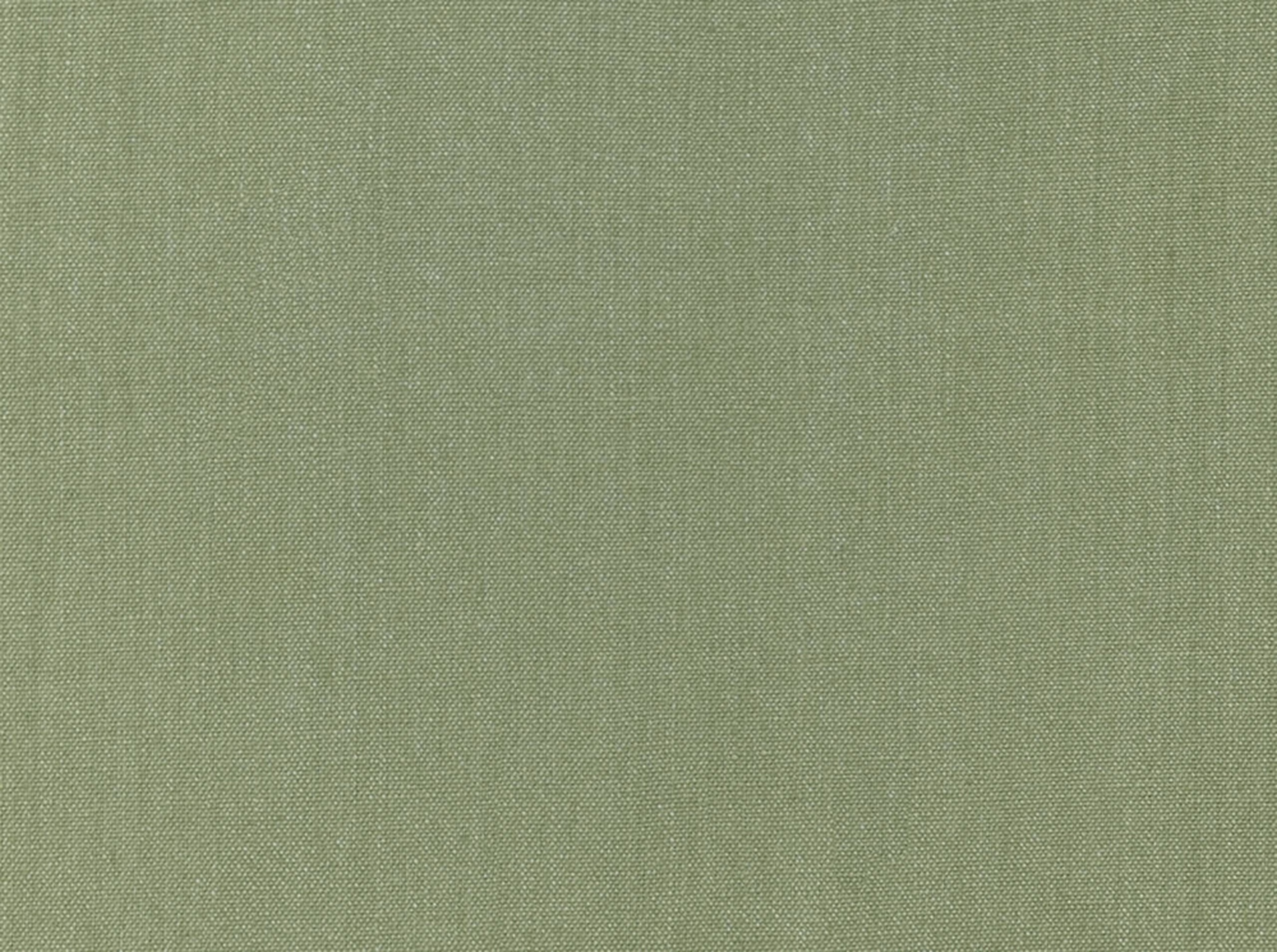 F10084-31