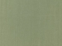 F10084-31