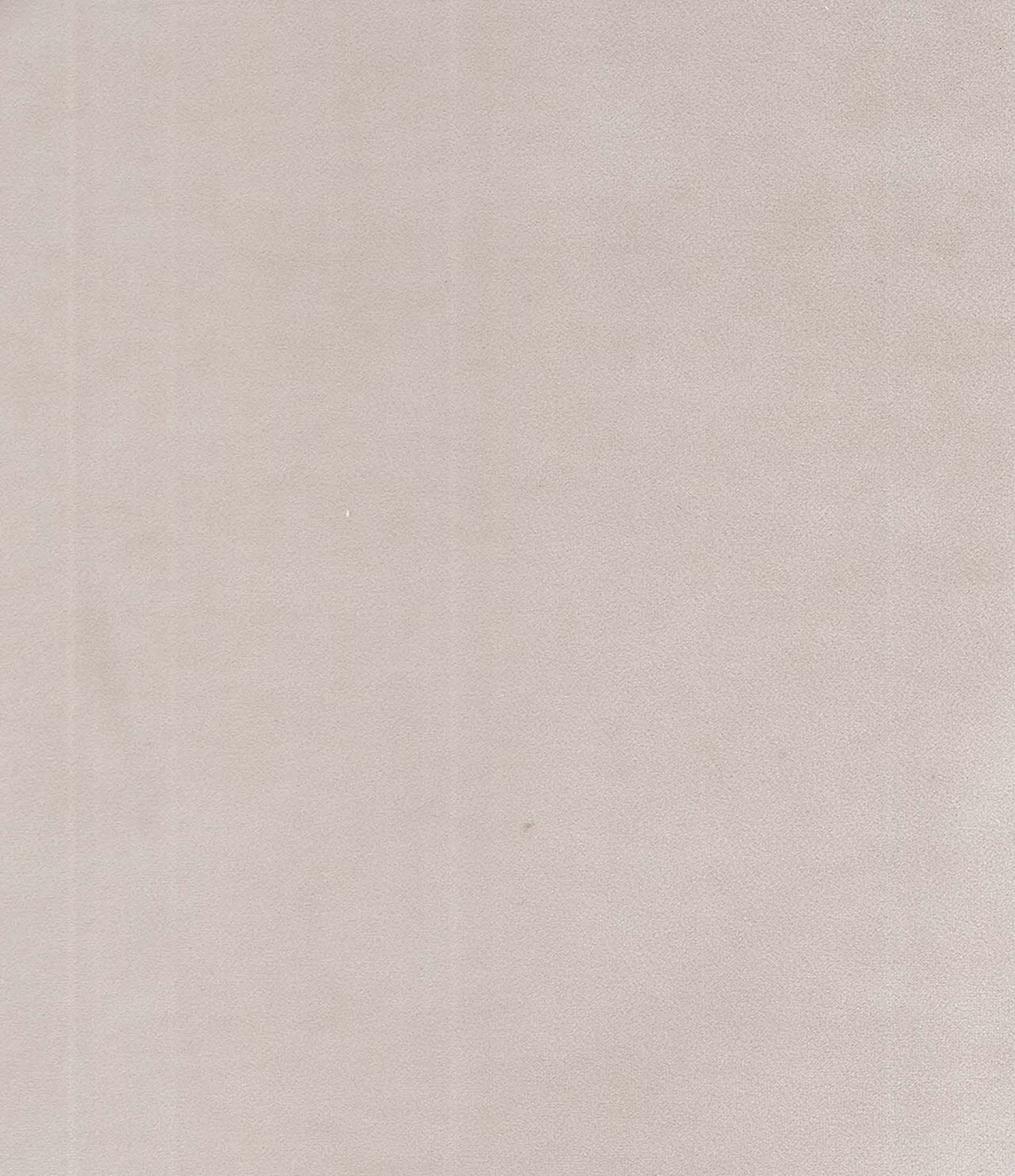 F10981-10