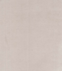 F10981-10