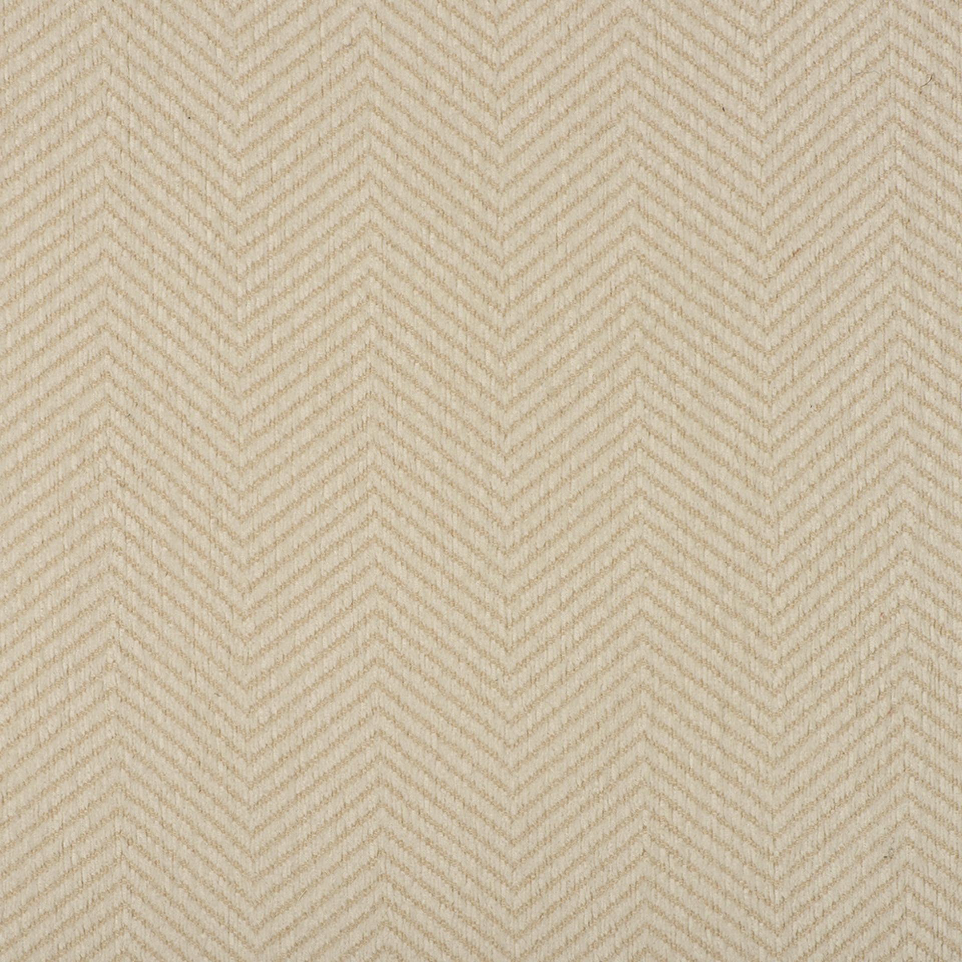 F11119-01